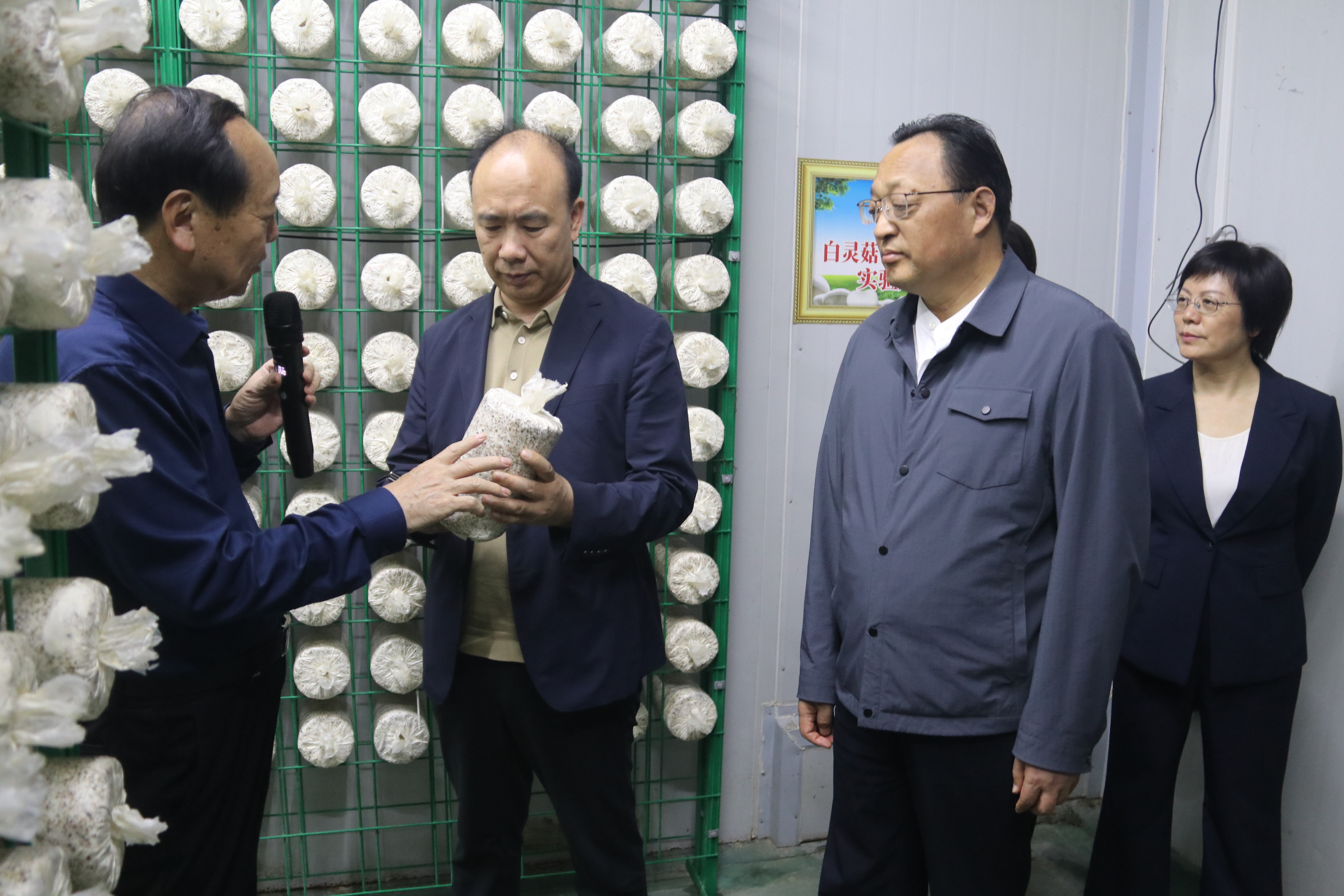 鹤壁市政协考察团莅许考察 冯芳喜带队 刘保新陪同
